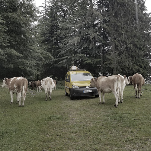 web_mtb_montage_06_ents