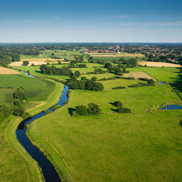 bentheim_web_01